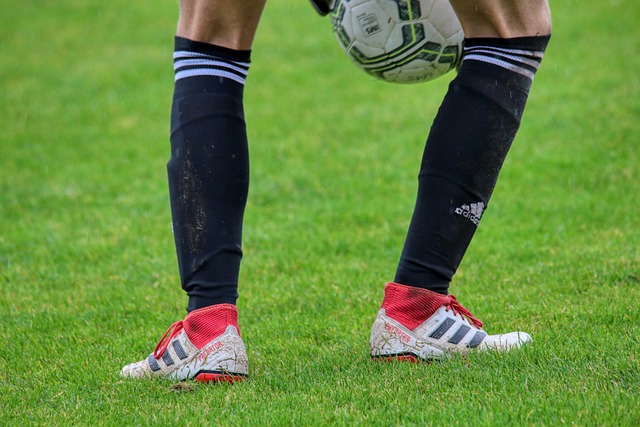 半场战报：博洛尼亚1-2克雷莫内塞，奥尔索利尼点射，瓦尔迪、帕耶罗破门