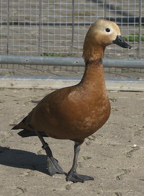 色定位