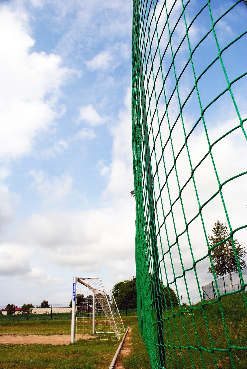 入新鲜血液 入新鲜血液