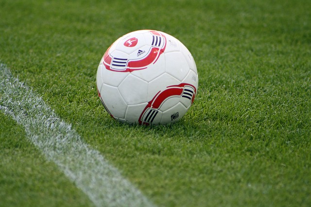 职业生涯规 职业生涯规