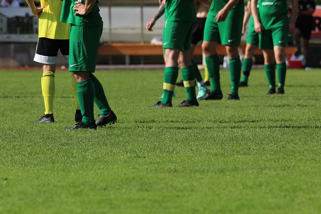 通过他对比 通过他对比