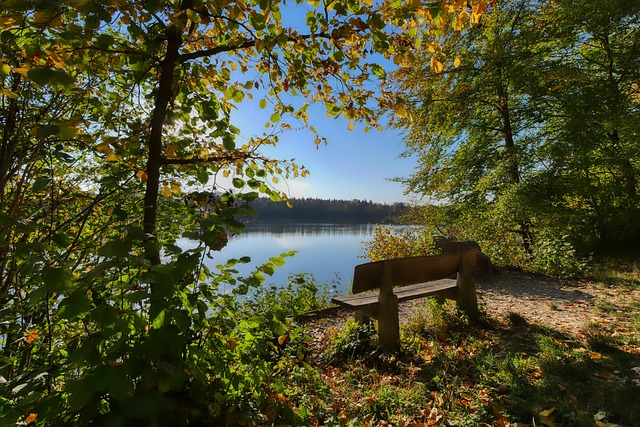 尤伯杯的竞 尤伯杯的竞