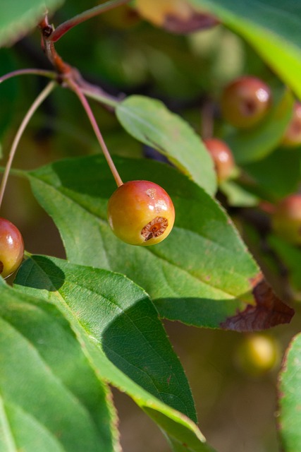 亚雷斯对乌 亚雷斯对乌