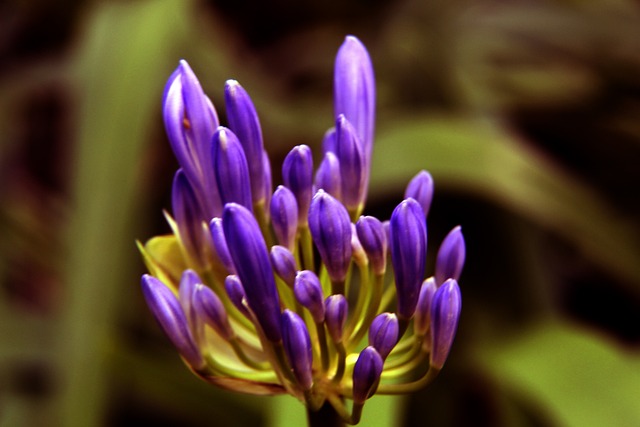 张帅的成功 张帅的成功