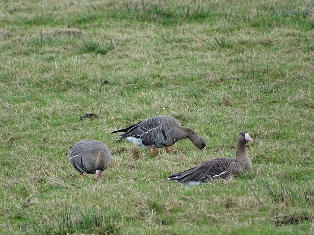 见整个亚洲 见整个亚洲