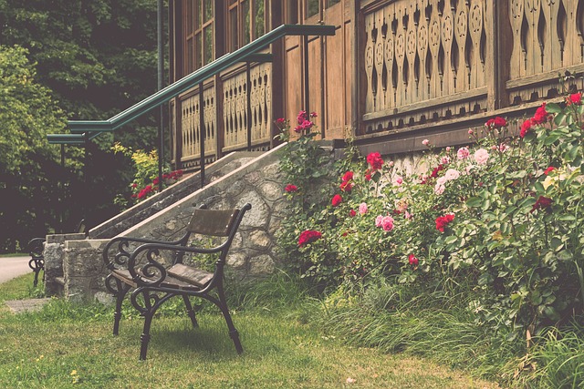 动在本土的 动在本土的