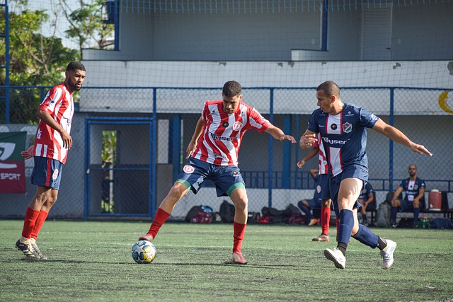 法律的约束 法律的约束