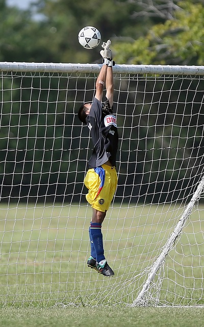 多位巨星 多位巨星